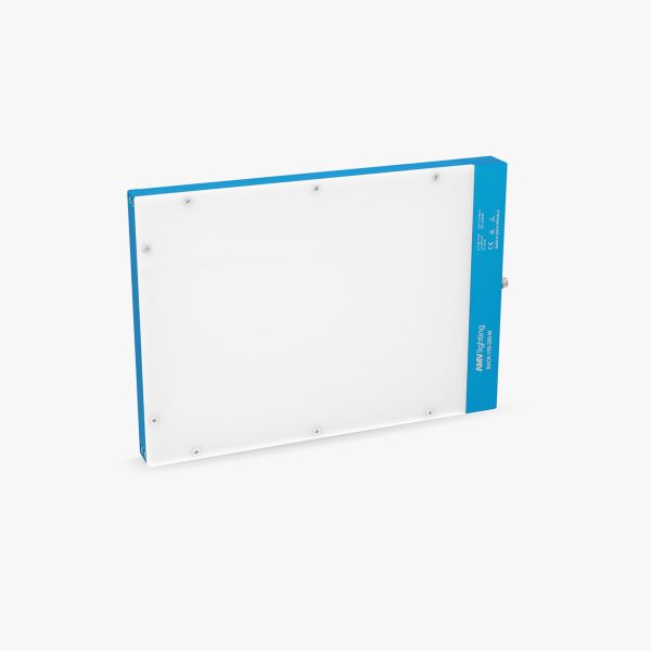 Back Rectangular