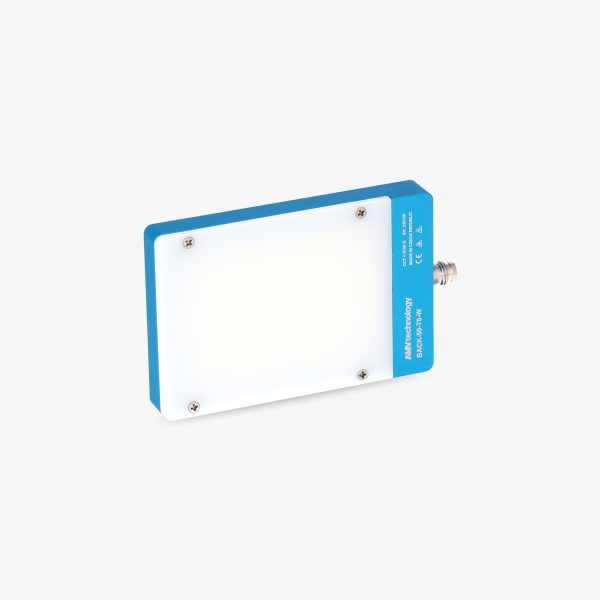 Back Rectangular