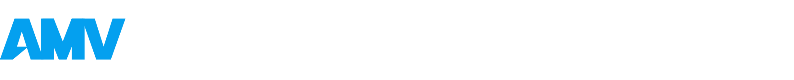 AMV Technology